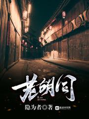 老胡同 老胡同