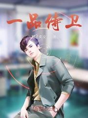 一品侍卫 一品侍卫