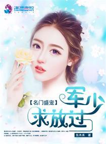 名门盛宠:四爷,求放过 名门盛宠:四爷,求放过