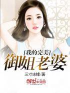 我的完美御姐老婆 我的完美御姐老婆