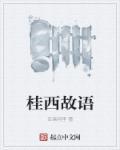 桂西故语 桂西故语