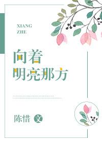 向着明亮那方 向着明亮那方