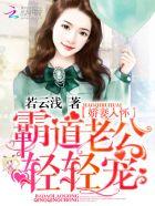 娇妻入怀:霸道老公,轻轻宠 娇妻入怀:霸道老公,轻轻宠