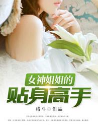 女神姐姐的贴身高手 女神姐姐的贴身高手