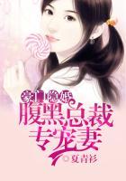 豪门隐婚:腹黑总裁专宠妻 豪门隐婚:腹黑总裁专宠妻