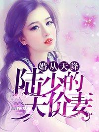 婚从天降:陆少的天价妻 婚从天降:陆少的天价妻