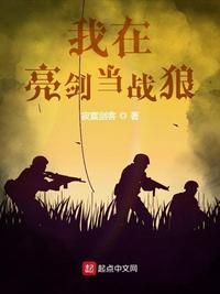 我在亮剑当战狼 我在亮剑当战狼
