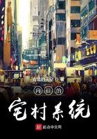 向往的宅村系统 向往的宅村系统