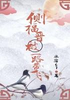 侧福晋被一路带飞 侧福晋被一路带飞