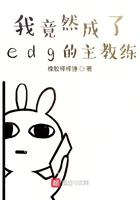 盛世暖婚顾少的二嫁小娇妻 南晨