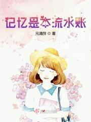 记忆是本流水账 记忆是本流水账